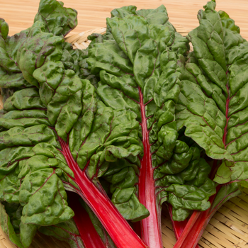 Wild Oats Market Williamstown MA