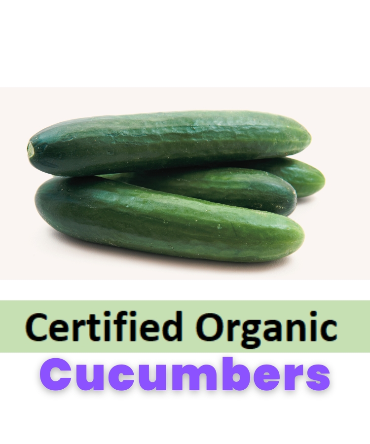 Cucumbers Certified Organic