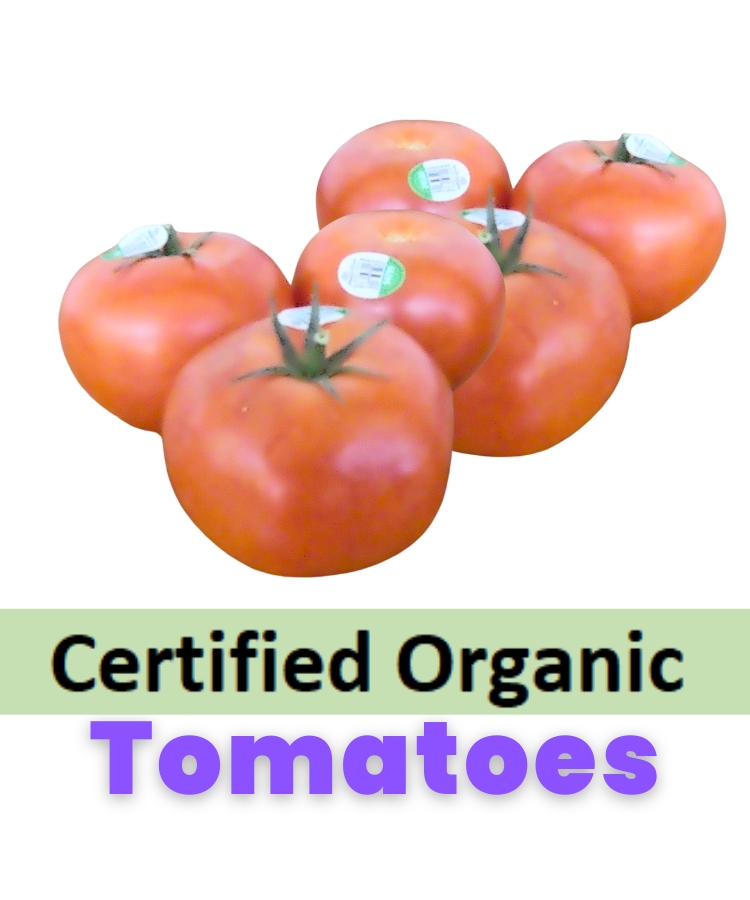 Tomatoes Certified Organic