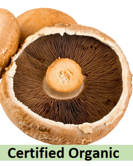 Portabella Organic Mushrooms.jpg