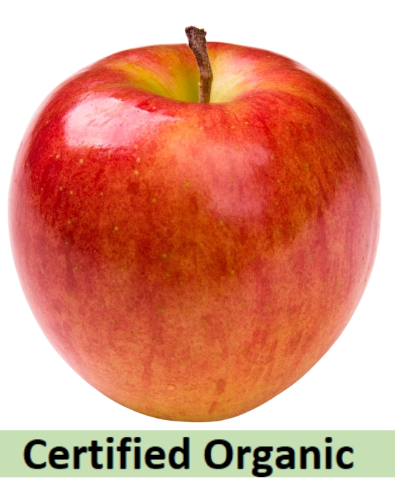 Organic Fuji Apples.jpg