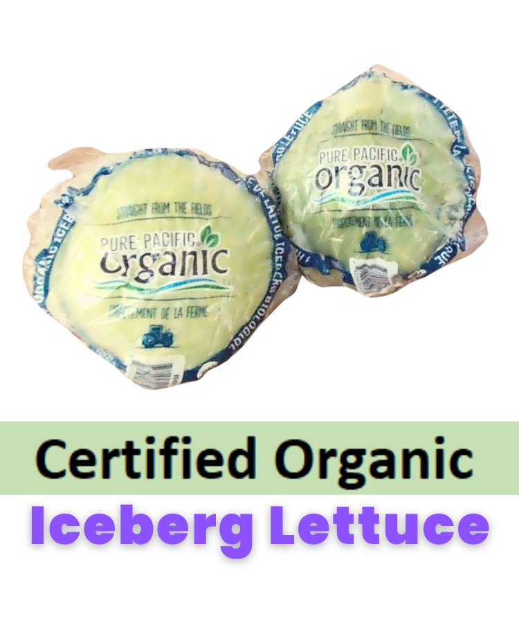Iceberg Lettuce Certified Organic