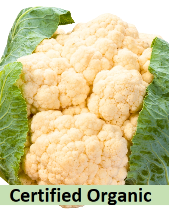 Organic Cauliflower.jpg