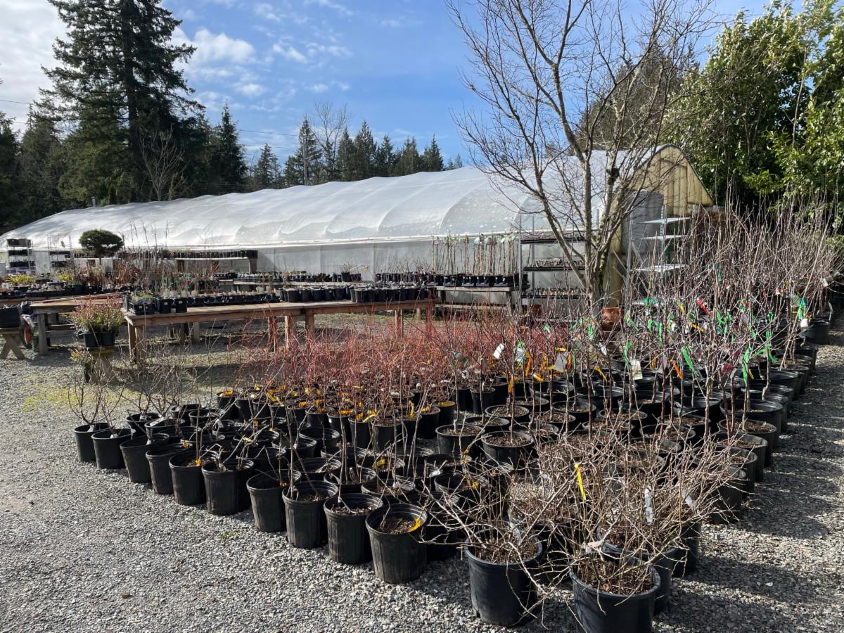 NEW NNBA Member Hobart Farms Nursery