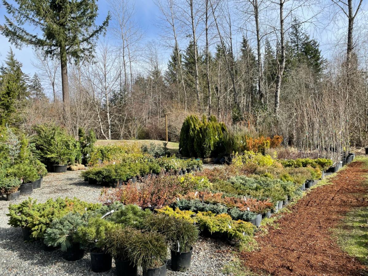 NEW NNBA Member Hobart Farms Nursery