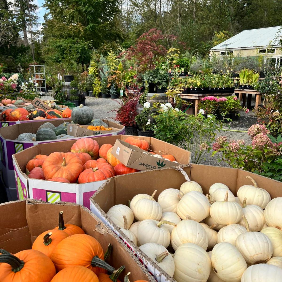 NEW NNBA Member Hobart Farms Nursery