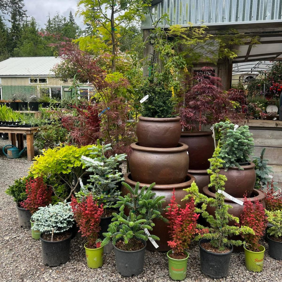 NEW NNBA Member Hobart Farms Nursery