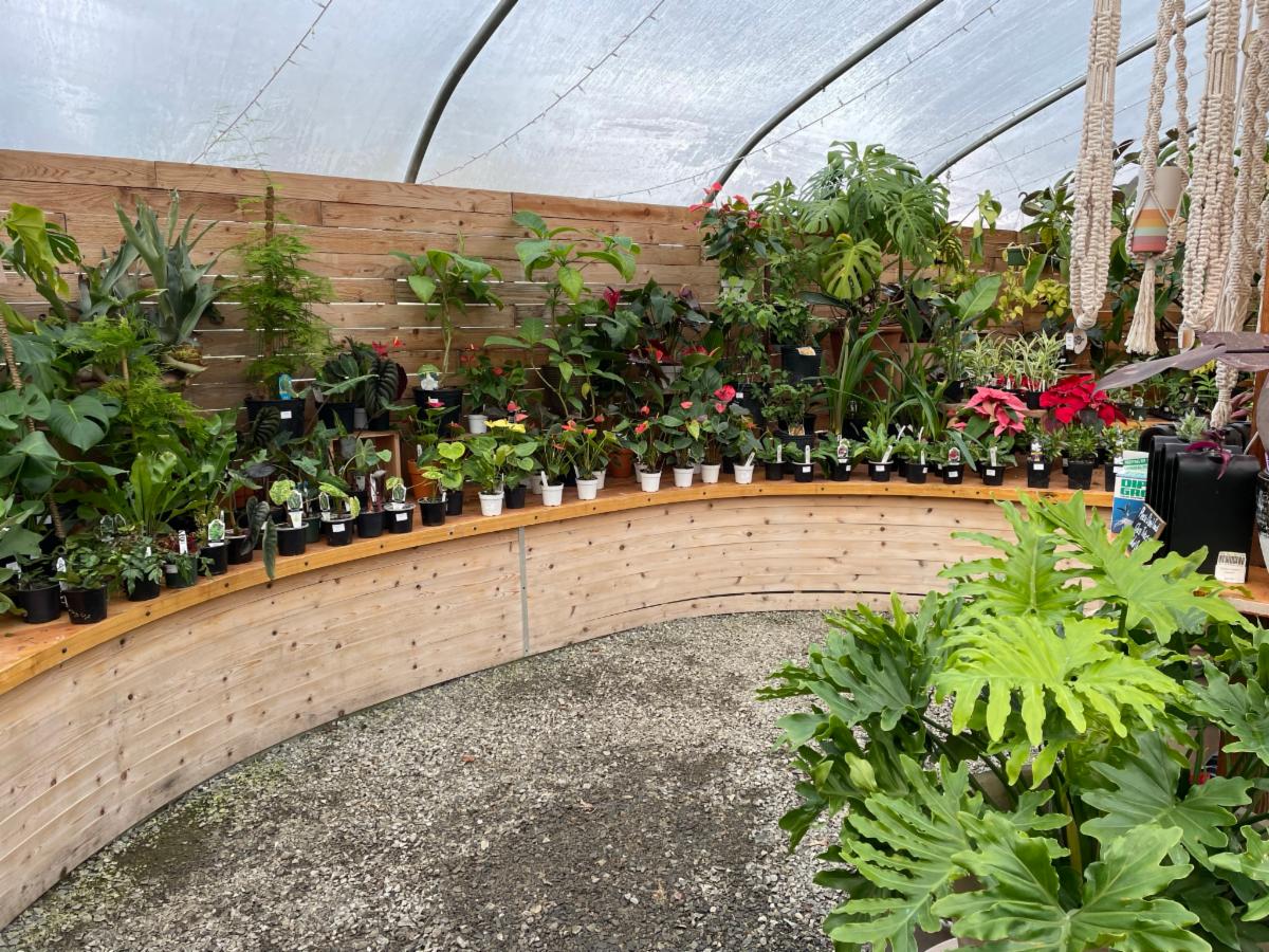 NEW NNBA Member Hobart Farms Nursery