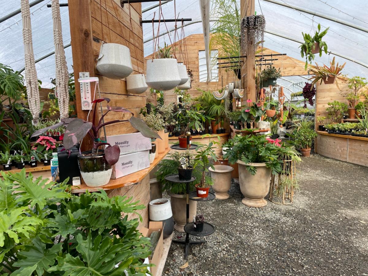 NEW NNBA Member Hobart Farms Nursery