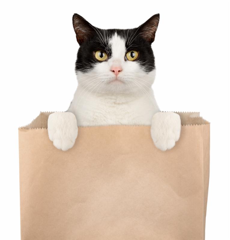 Texas Litter Control Resale Shop Coming Soon Donations Needed 