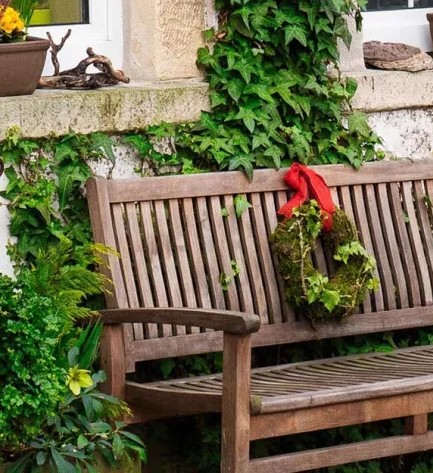 a holiday wreath on a garden bench next to a wall covered in ivy with window ledges containing garden boxes and other garden decor.
Copyright (c) 2024 Regents of the University of California. This work is licensed under the Creative Commons Attribution-Non