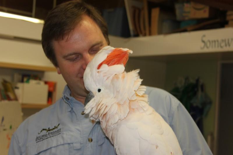 Animal Encounter