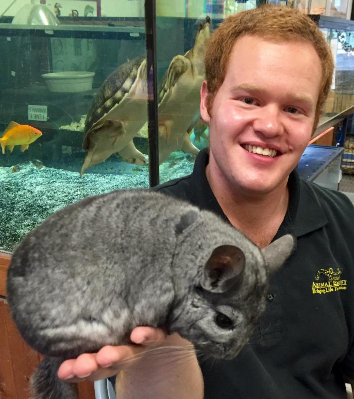 Animal Encounter