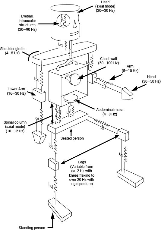 Making Sense of Whole Body Human Vibration Measurements