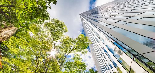 Fresh green and building