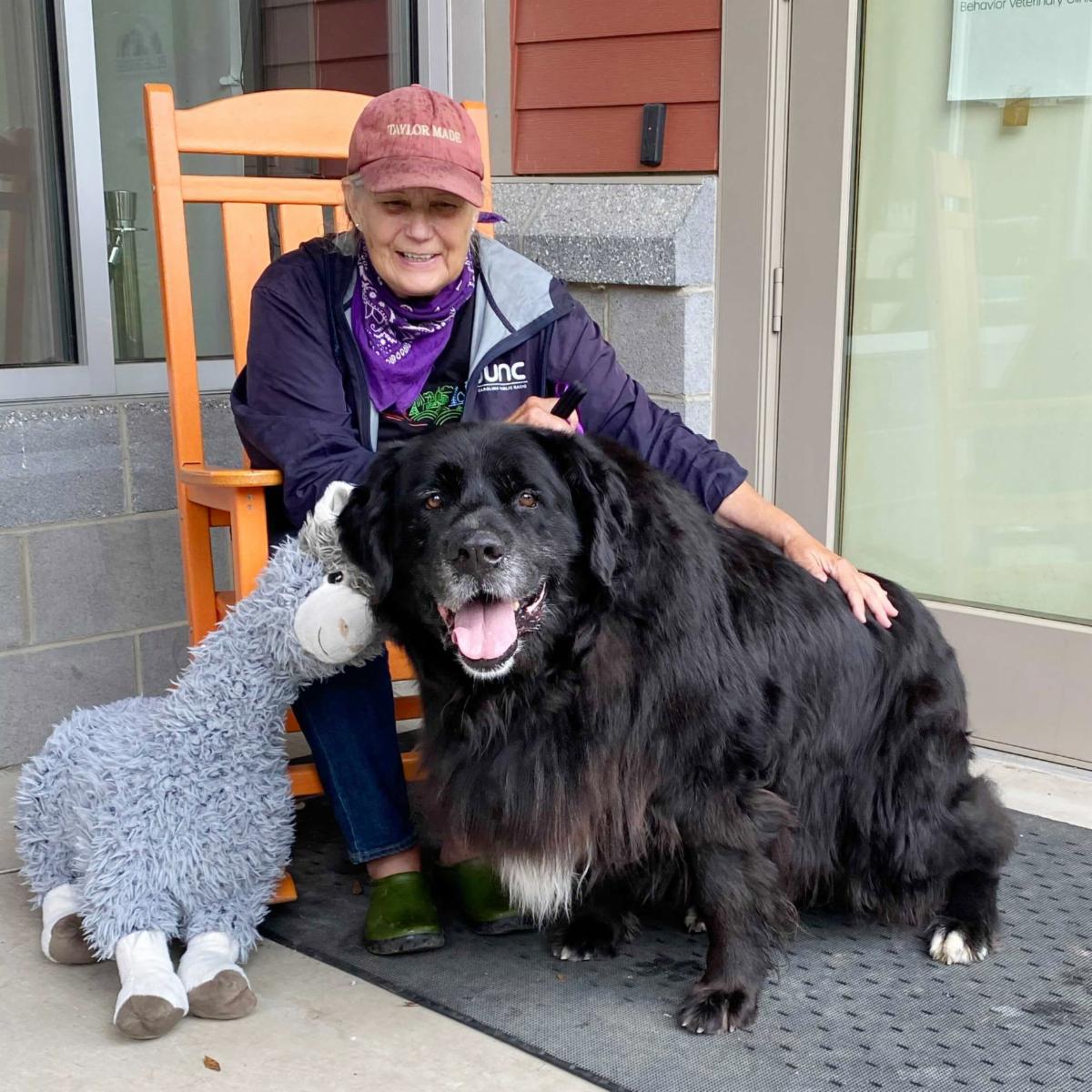 Onyx Adoption