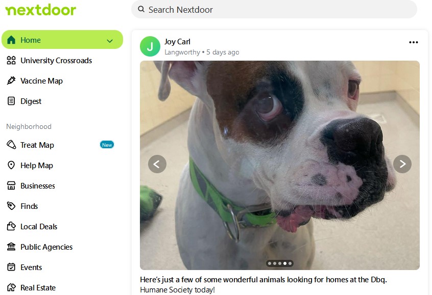 Nextdoor Shelter Animal Promo