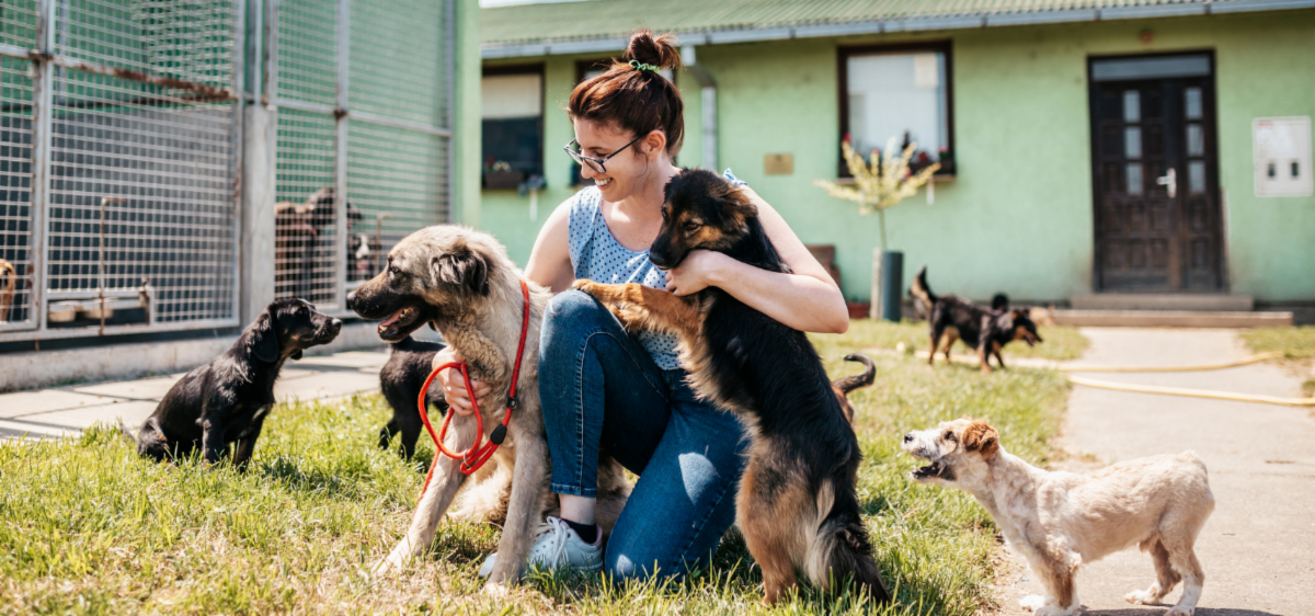 Betty White and Uggie