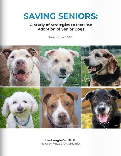 Saving Seniors Flipbook