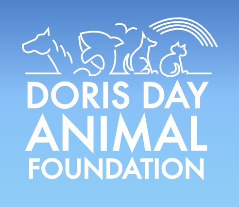 thumbnail_Doris Day Foundation.jpg