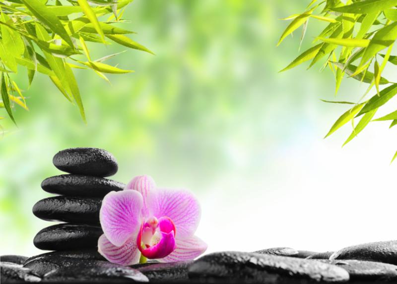 spa_concept_zen_rocks.jpg