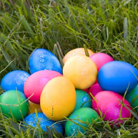 eggs_on_grass.jpg