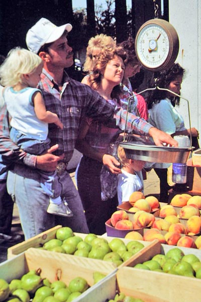 Farmers Market