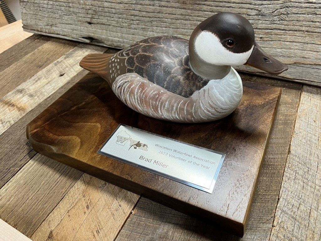 Volunteer of the Year award Miller.jpg