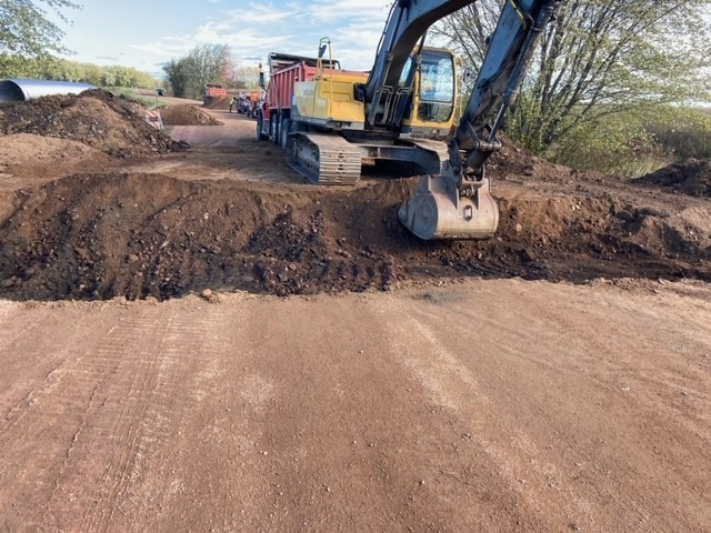 Mead - DNR photo.jpg