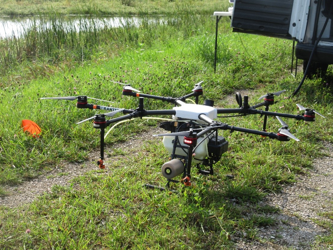 Cattail Spraying.jpg