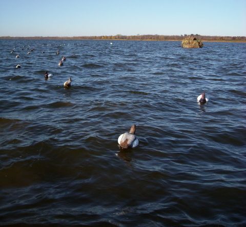 open water GB 10.24.11.jpg