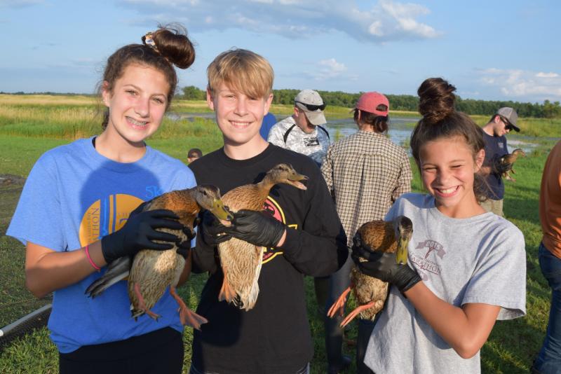 Urben Duck Banding 2019.jpg