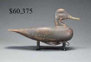 Dudley Black Duck.jpg