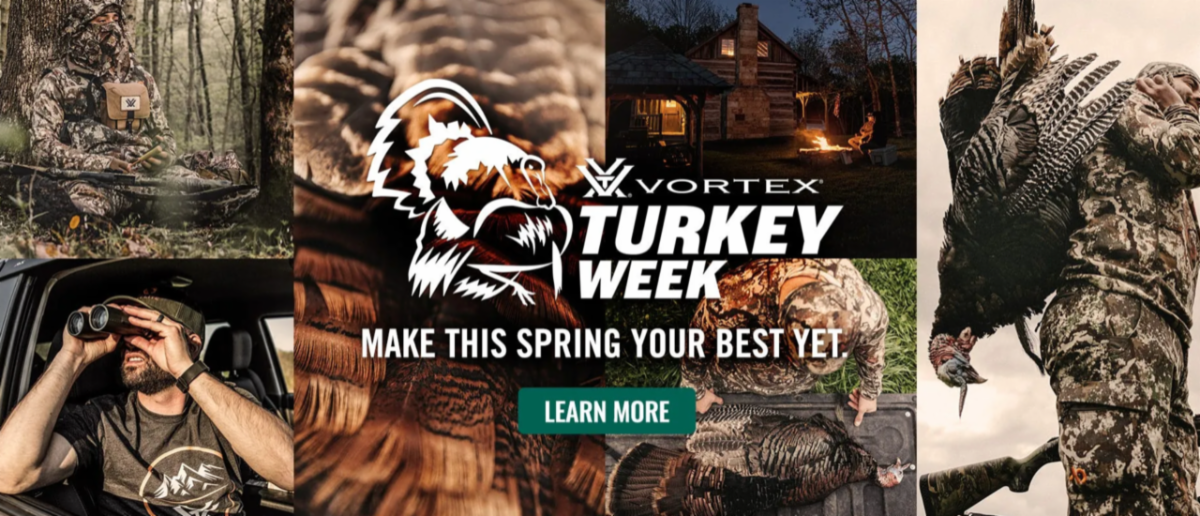 Vortex spring.png