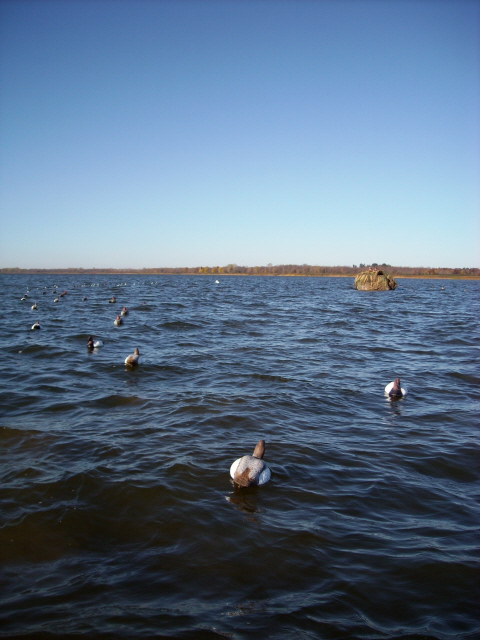 open water GB 10.24.11.jpg