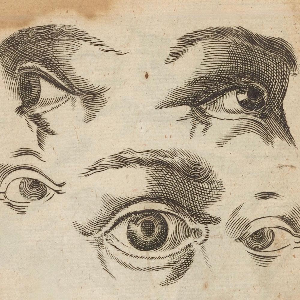 illustration of human eyes