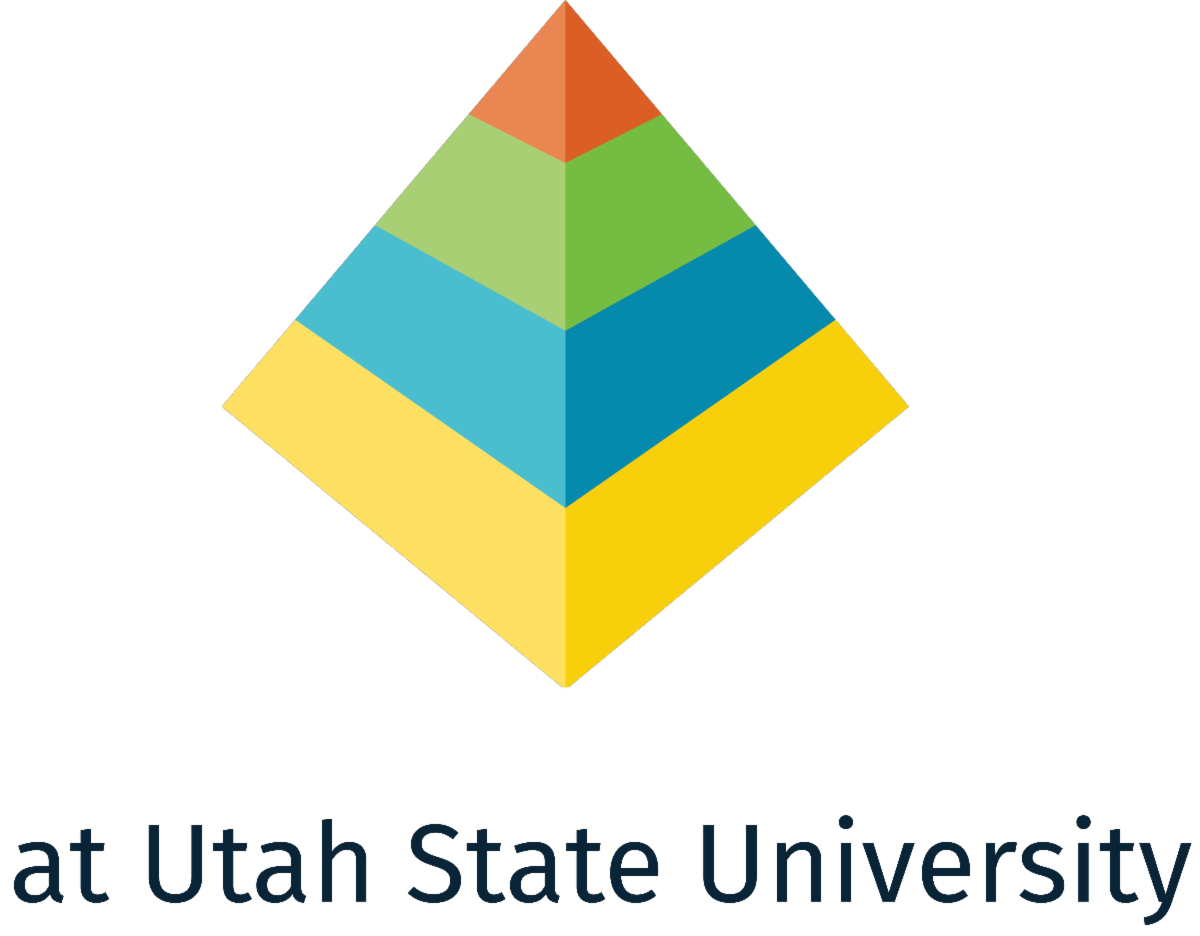 echo-pyramid-registration