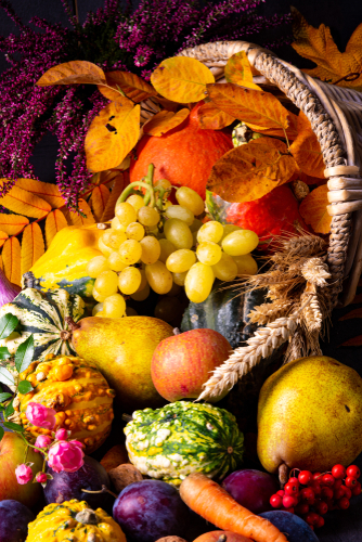 The beautiful and autumnal cornucopia