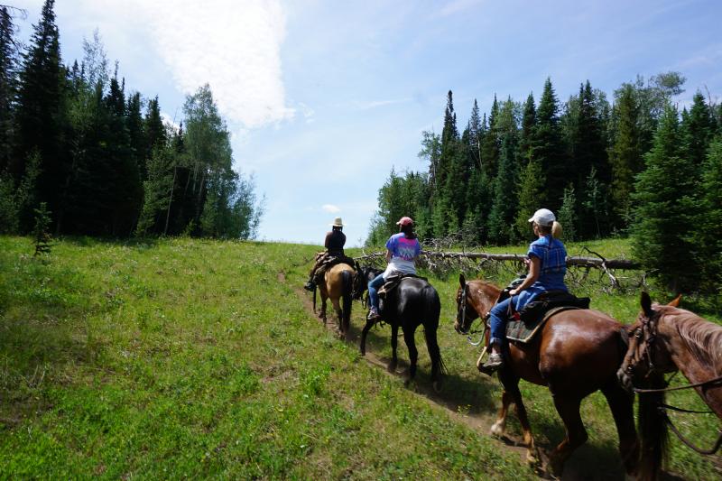 Vail to Aspen 4 Day Horseback Ride 2023 Dates Released and Sleigh Ride
