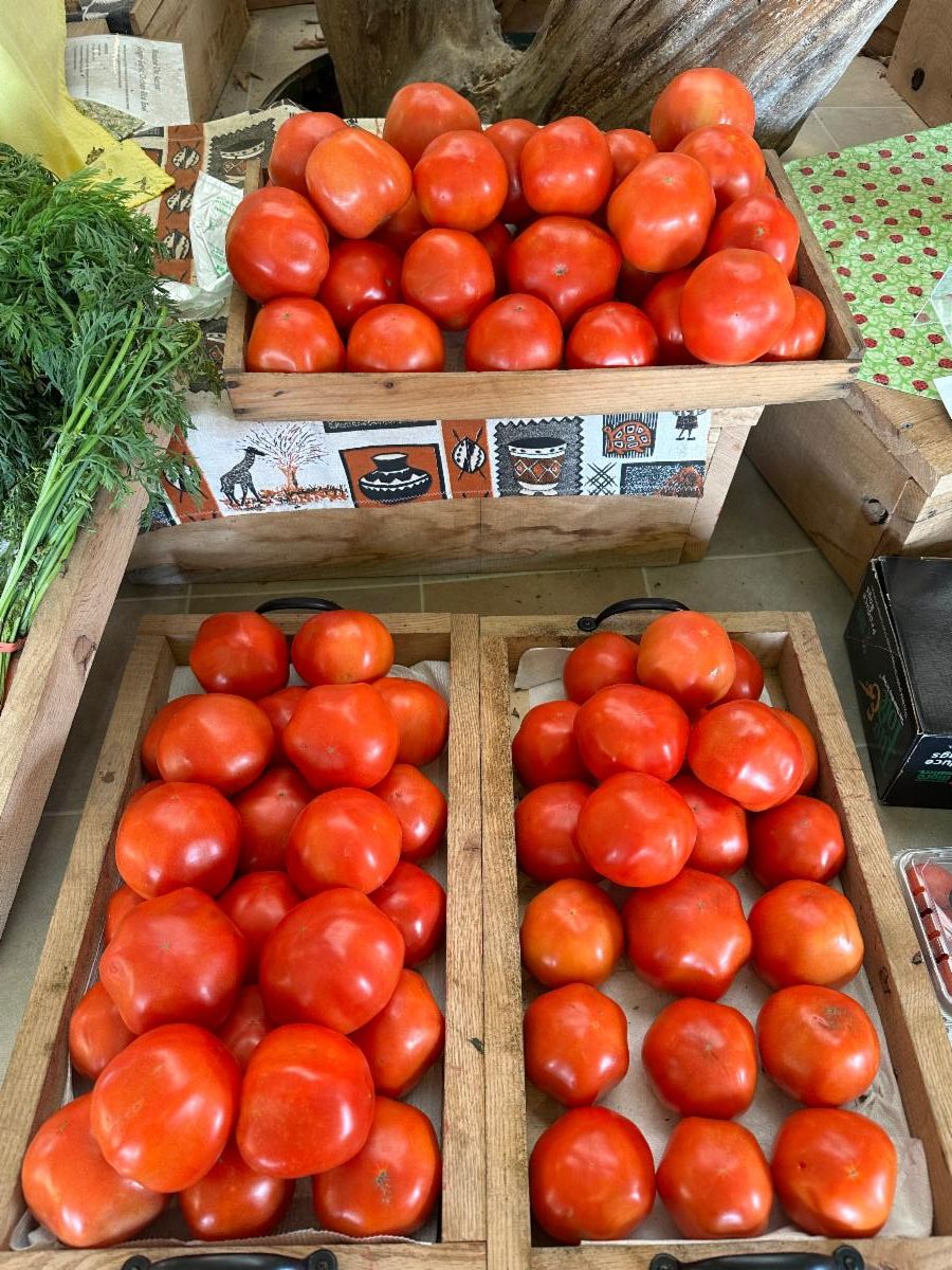 Pumpkin Catapult! Pumpkin Hike At Hartmans! Fall Fun All Weekend! Buy 3