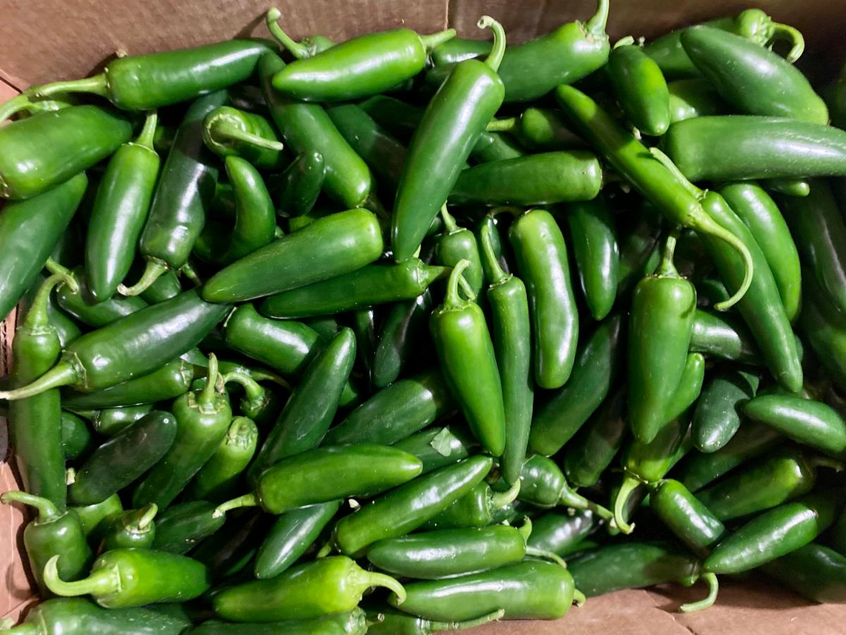 Pumpkin Catapult! Pumpkin Hike At Hartmans! Fall Fun All Weekend! Buy 3
