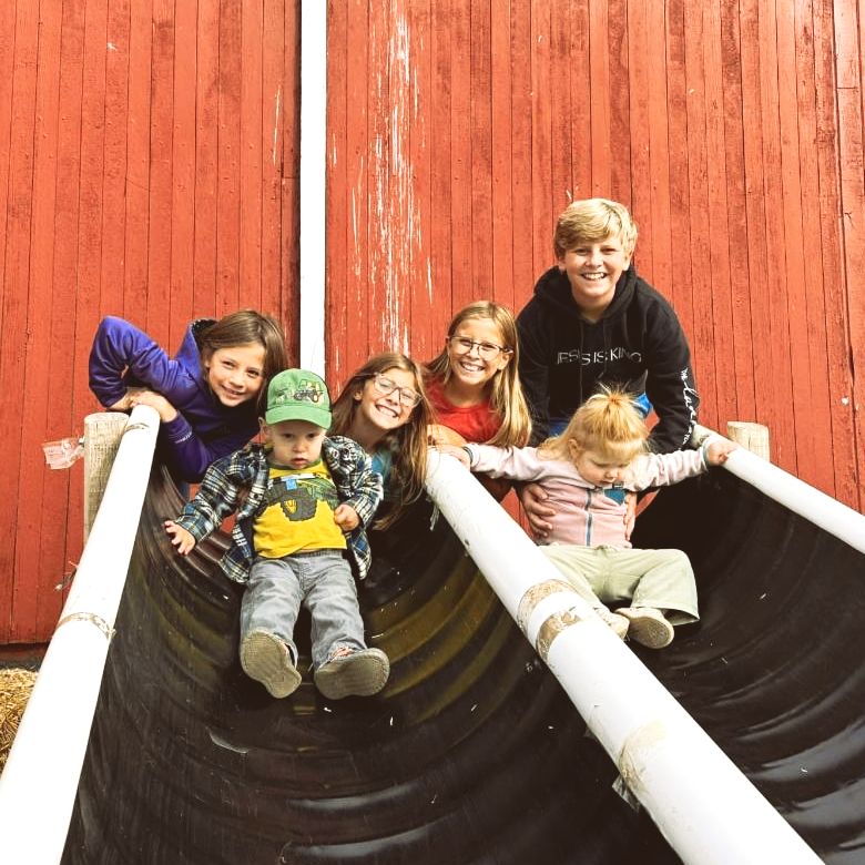 Smashing Pumpkins W/Catapult! Live Music By A Joyful Little Band & Syl Fries! Food Truck! Bakery