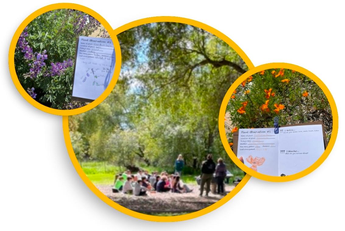 Examples of children's nature journals with children's drawings and written observations. Children sitting outside quietly listening to a Master Gardener sharing information about and the importance of native plants.