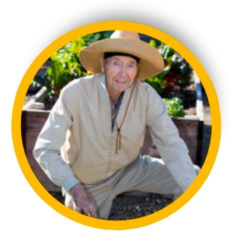 Senior-aged gardener working in a raised bed garden.