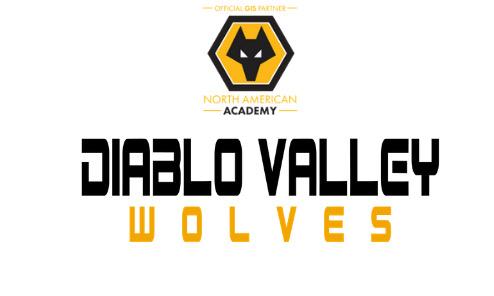 DVW Final Club Logo Original No Wolf.jpg