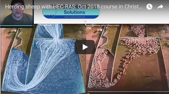 Herding sheep with HEC-RAS