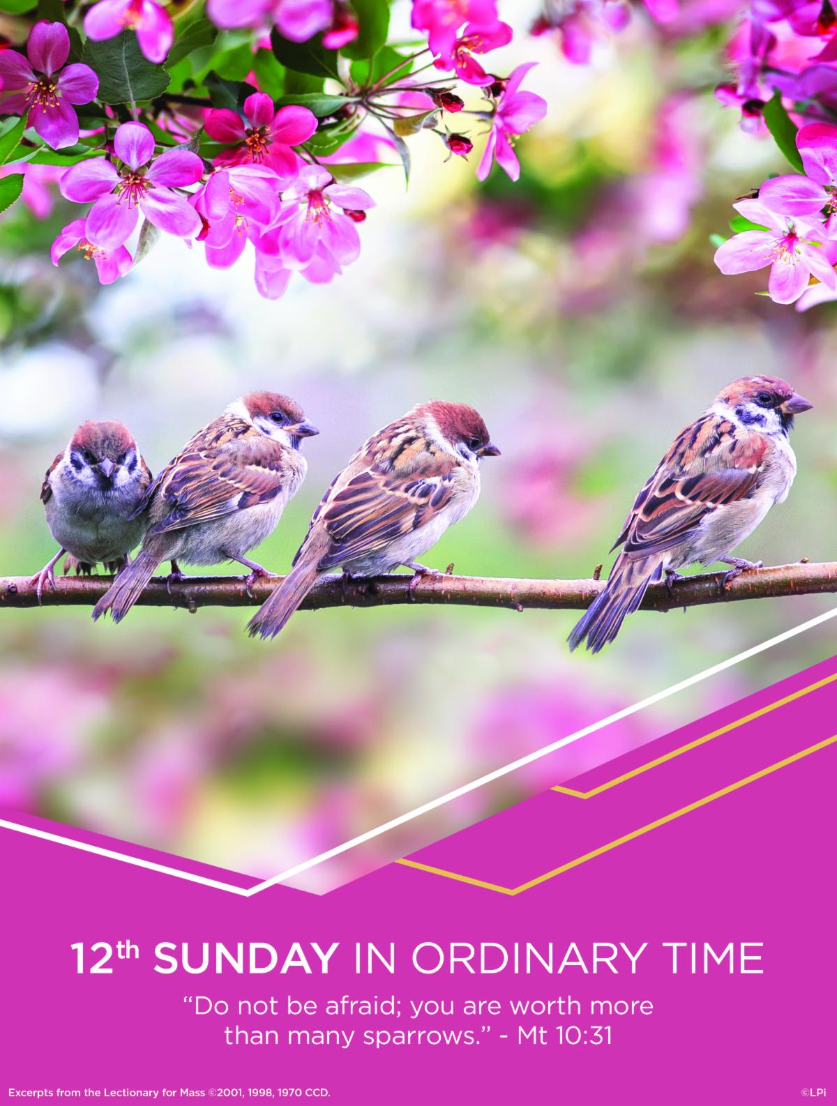 June 25th, Weekly Parish Communication for the Twelfth Sunday in ...