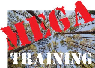 MEGA Training