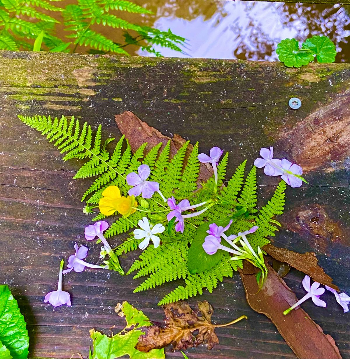 New Upcoming Spring Offerings