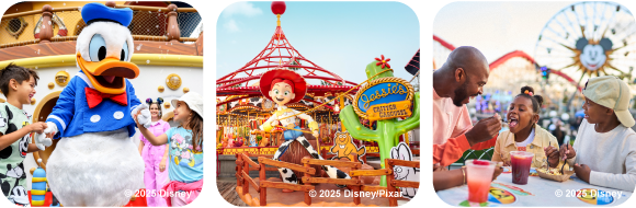 Disneyland Resort California